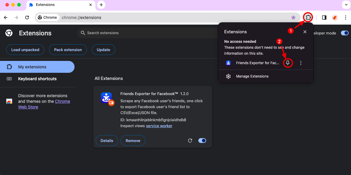 Facebook Friends Export chrome extension install pin